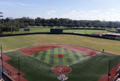Image pulled from article on lsusathletics.com